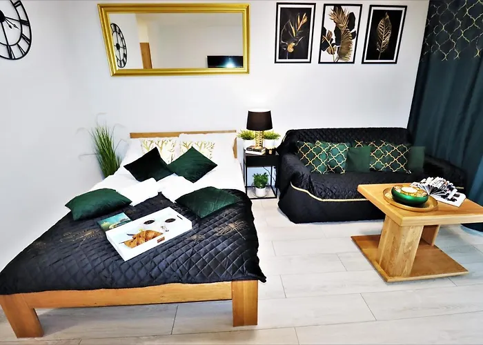 Apartment Mit Blick Auf Den Park - Apartament Mariw Matejki 17 Z Widokiem Na Park