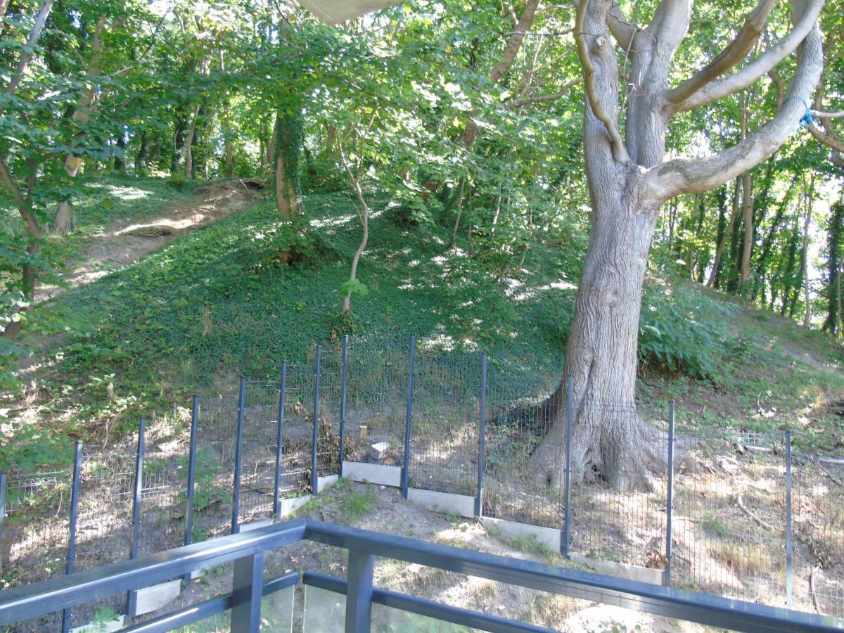 Mit Blick Auf Den Park - Mariw Matejki 17 Z Widokiem Na Park Swinoujscie
